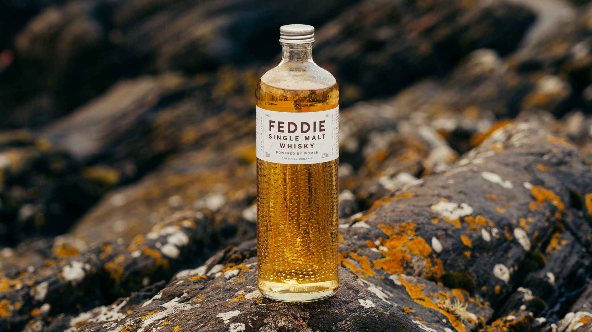 Feddie Whisky Bottle